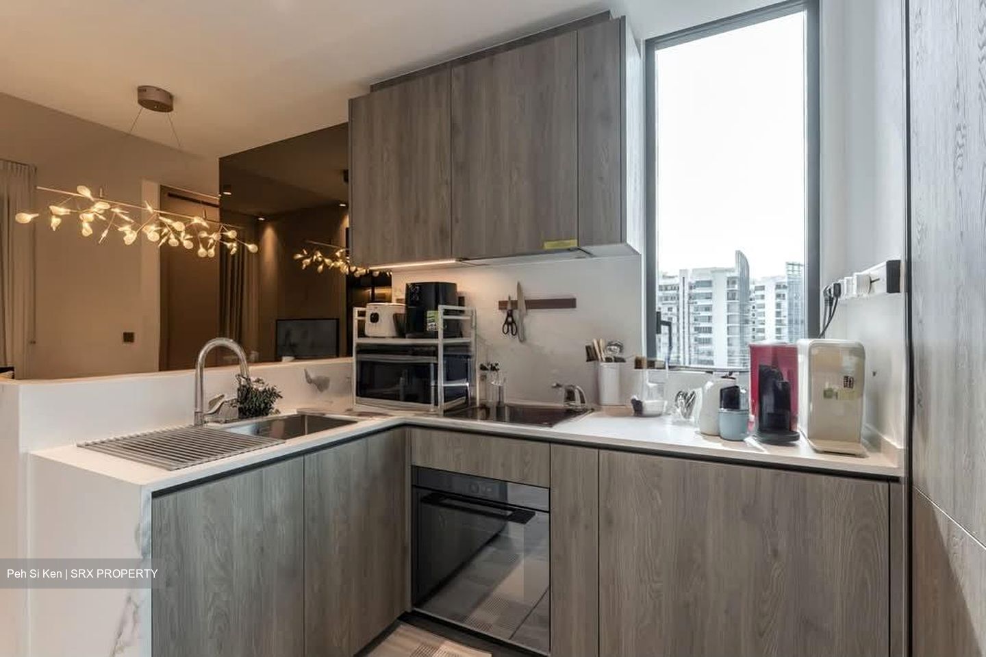 Leedon Green (D10), Condominium #592126471